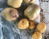 Foto del paso 2 de la receta: Ajiaco Criollo