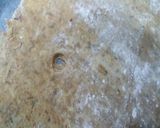Foto del paso 8 de la receta Coca de chicharrones