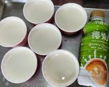 夏日小甜品-椰奶藍莓奶酪的食譜步驟6照片
