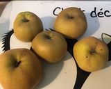 Une image de l'étape 3 de Tarte pommes,miel et noix pâte brisée à l huile de noix.