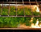 Mike's Oven Dried Herbs recipe step 10 photo