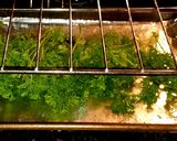 A picture of step 10 of Mike's Oven Dried Herbs.