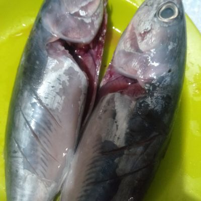 Langkah 1