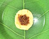 Foto langkah ke 3 dari resep Rondo Royal Khas Jepara.