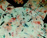 A picture of step 5 of Methi Masala Biscuit Bhakri.