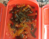 Foto del paso 3 de la receta: Pasta sin gluten en estuche Lekue