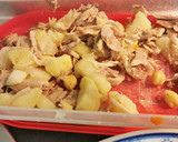 Foto del paso 1 de la receta: Canelones de Carn d'olla (receta de Montserrat Fontanè)