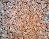 Foto langkah ke 6 dari resep Kacang Bawang Ga Bikin Gigi Sakit #BikinRamadanBerkesan.
