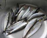 Foto del paso 1 de la receta: Sardiñas á brasa (sardinas a la brasa)