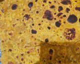 A picture of step 2 of Moong paratha (protein rich).