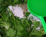 A picture of step 3 of Spicy Mint Coriander Chutney.