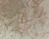 Foto del paso 3 de la receta: Ciabatta