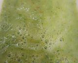 A picture of step 3 of Raw mango chutney.