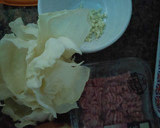 Foto del paso 3 de la receta: Gyozas (Fácil)