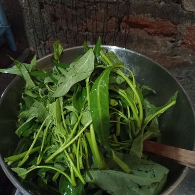 Langkah 3