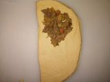 Meat pie