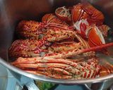 Foto langkah ke 2 dari resep Lobster Rebus Jahe.