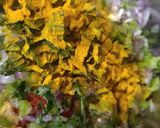 कॉर्न चीला (corn cheela recipe in Hindi) रेसिपी चरण 3 फोटो