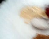 A picture of step 4 of شاہی لہسن پالک.