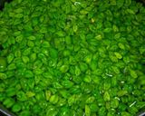 भुनी हुयी हरा चना (Bhunji huyi Hara Chana recipe in hindi) रेसिपी चरण 1 फोटो