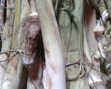 Foto langkah ke 1 dari resep Sayur lompong talas.