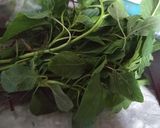Foto langkah ke 1 dari resep 27. Sayur Bening Bayam dan Oyong.