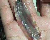 Foto del paso 4 de la receta Boquerones en vinagre