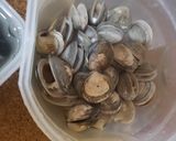 Foto del paso 1 de la receta: Pasta a la marinera 👩‍🍳🍤🦐