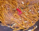 Foto langkah ke 3 dari resep Mie Gomak Goreng.