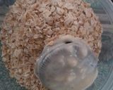 Foto langkah ke 3 dari resep Oreo Goreng Oatmeal.
