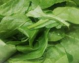 A picture of step 1 of Palak Paneer.