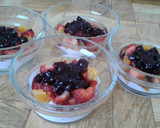 Foto del paso 7 de la receta: Mix frutal con yogurt natural y salsa de arándanos... aprovechando las sobritas