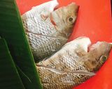 Hình bước làm 2 của món Cá Nướng Lá Chuối Muối Ớt Xanh