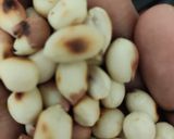A picture of step 2 of Sabudana ki khichdi.