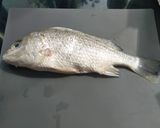 Foto langkah ke 1 dari resep Ikan asam manis pedas.