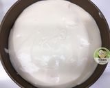 免烤玉文芒果優格乳酪蛋糕的食譜步驟14照片