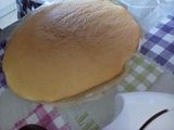 قاطو بالتوت البري
