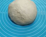 Foto langkah ke 2 dari resep Salt bread.
