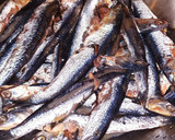 Foto del paso 2 de la receta: Anchoas caseras