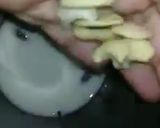 A picture of step 1 of Dry fruits milkshake.