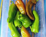 Foto del paso 4 de la receta: Berenjenas y pimientos al horno con picada de hierbas aromáticas