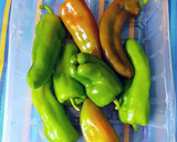 Foto del paso 4 de la receta: Berenjenas y pimientos al horno con picada de hierbas aromáticas