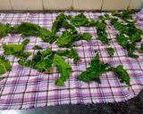 Palakh paneer recipe step 1 photo