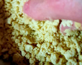 Foto del paso 4 de la receta: Coca de mollita o torta de migas alicantina
