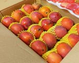 A picture of step 1 of Mango Ice Cream (Rich and Creamy Without an Ice Cream Maker).