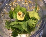 Une image de l'étape 3 de Pesto de céleri branche à l ail,pistaches et parmesan.