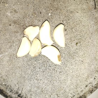 Langkah 9
