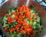 A picture of step 2 of Veggieee maggieee.