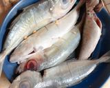 Foto langkah ke 1 dari resep Pindang Ikan Kembung.