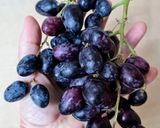 Foto del paso 1 de la receta: Licuado de uva negra con bebida de almendras 🌱 rico en Resveratrol 🍇
